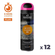BOMBE DE PEINTURE S MARK CERISE FLUO RESISTANCE DE 3 A 6 MOIS 500ML